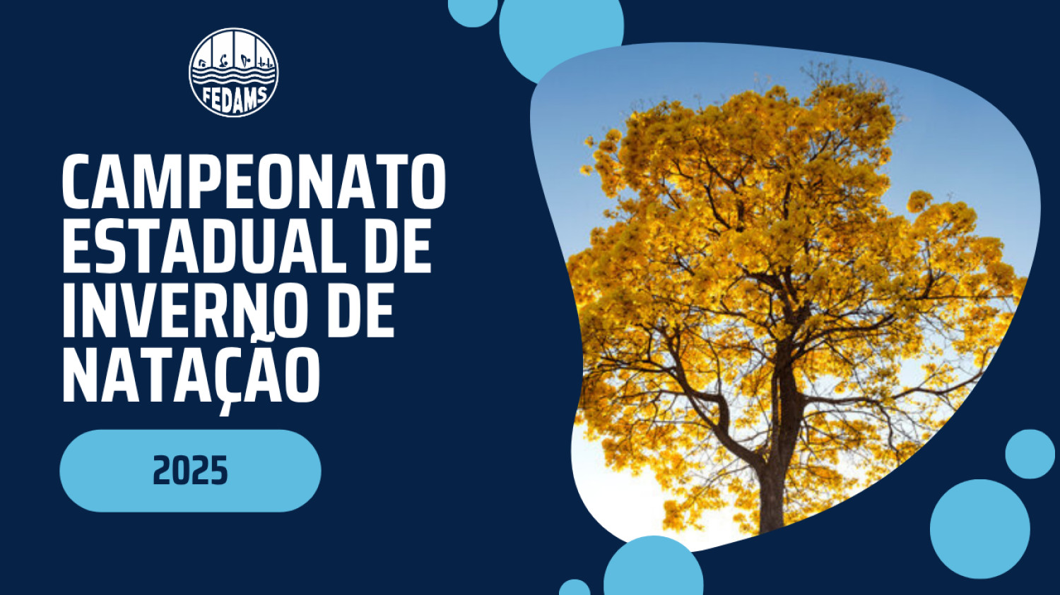 Campeonato Estadual de Inverno de Natação